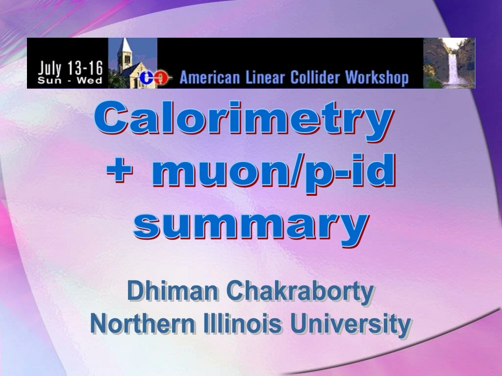 calorimetry muon p id summary