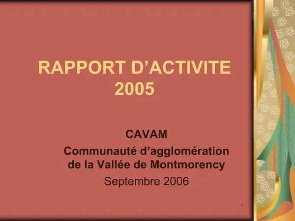 RAPPORT D ACTIVITE 2005