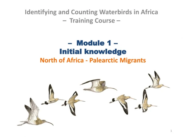 –  Module 1 –  Initial knowledge North of Africa - Palearctic Migrants