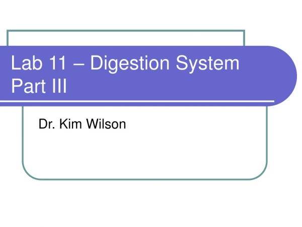 Lab 11 – Digestion System Part III