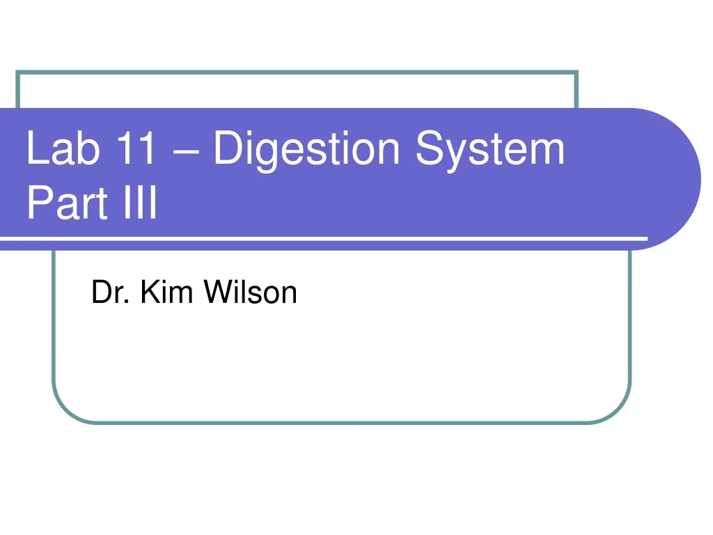 lab 11 digestion system part iii