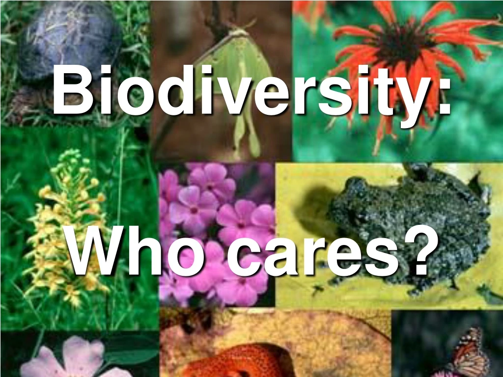 biodiversity who cares