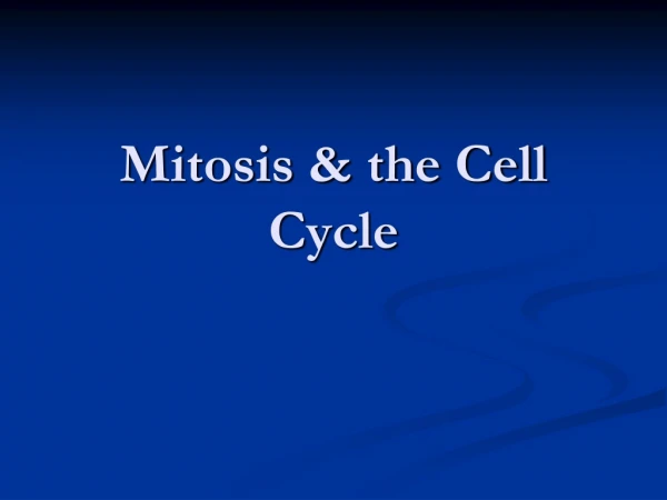 Mitosis &amp; the Cell Cycle