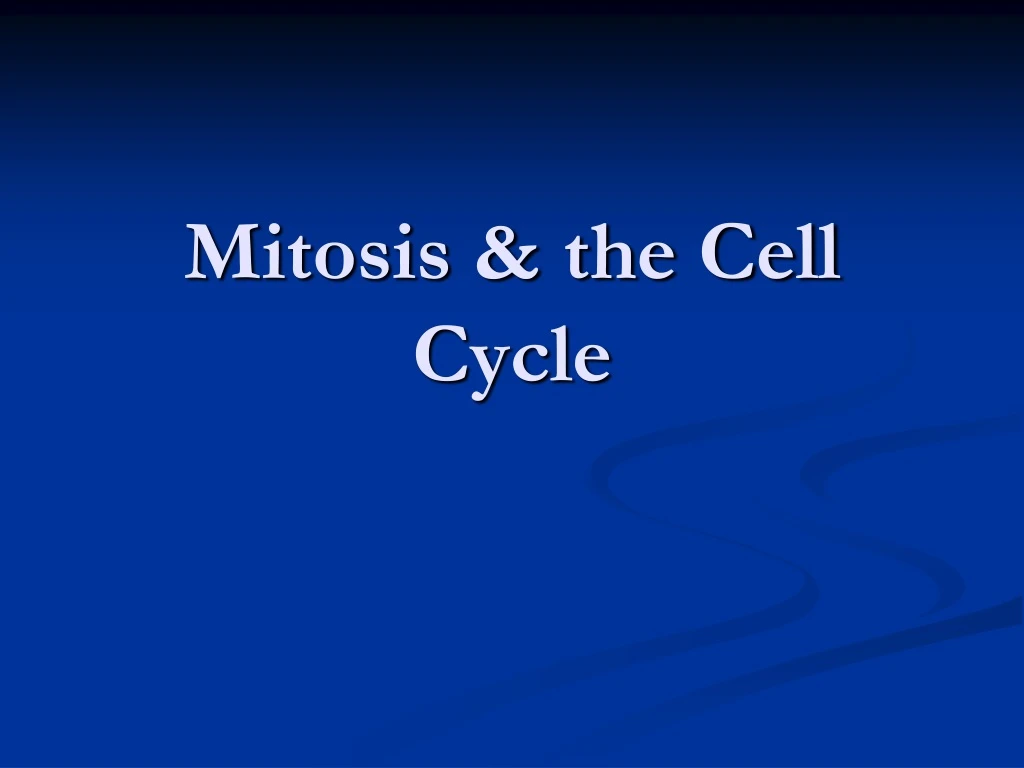 mitosis the cell cycle