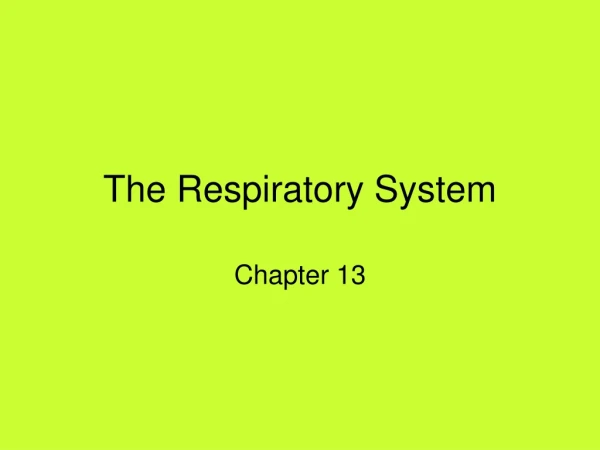 The Respiratory System