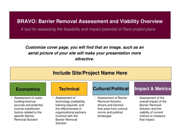 BRAVO: Barrier Removal Assessment and Viability Overview