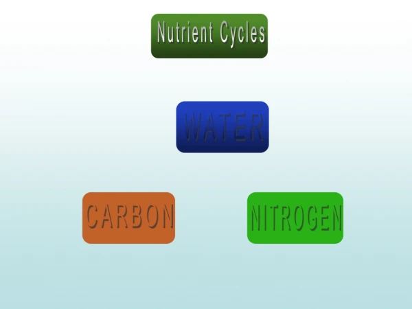 Nutrient Cycles