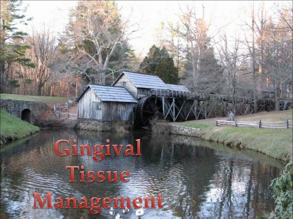Gingival Tissue Management