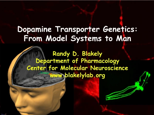 Dopamine Transporter Genetics: From Model Systems to Man Randy D. Blakely