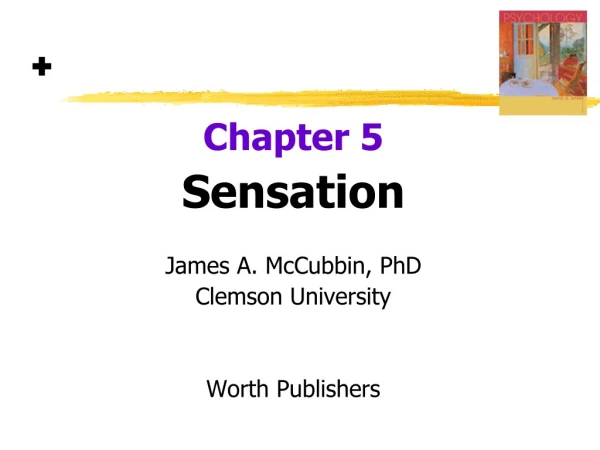 Chapter 5 Sensation James A. McCubbin, PhD Clemson University Worth Publishers