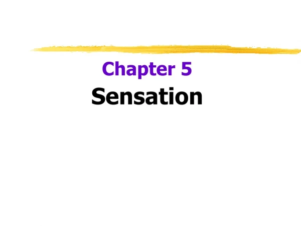 Chapter 5 Sensation