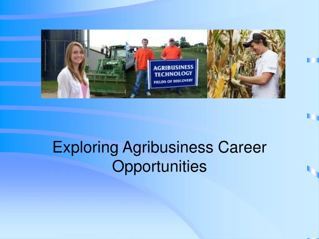 exploring agribusiness career opportunities