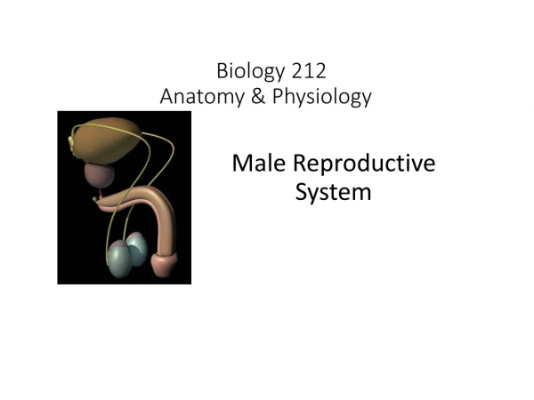 Biology 212 Anatomy &amp; Physiology  I