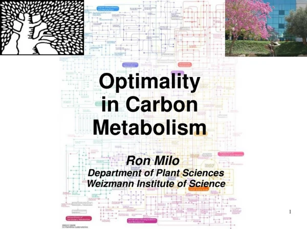 Optimality in Carbon Metabolism