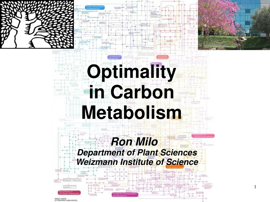 optimality in carbon metabolism