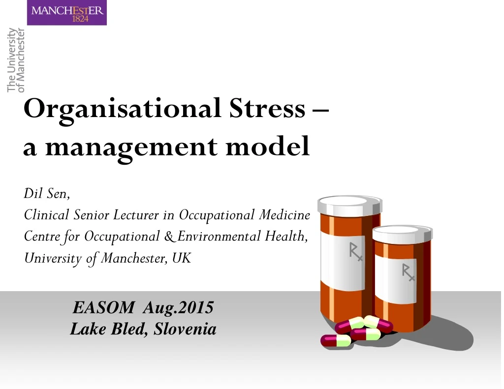 organisational stress a management model