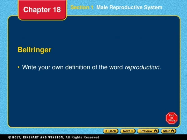 Section 1   Male Reproductive System