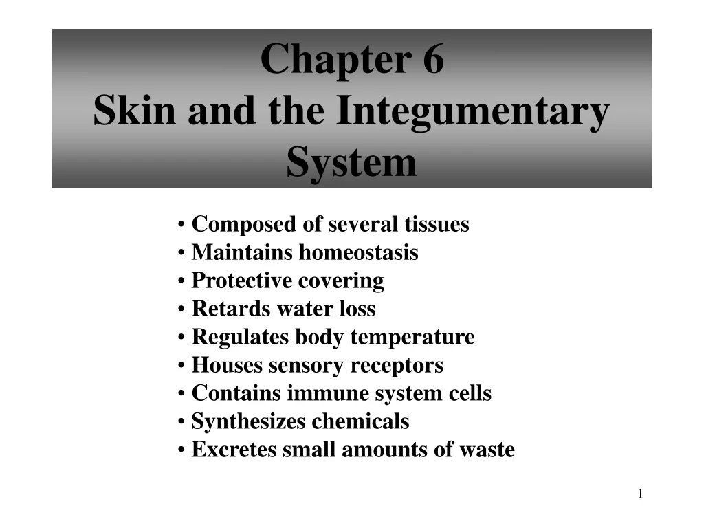 chapter 6 skin and the integumentary system