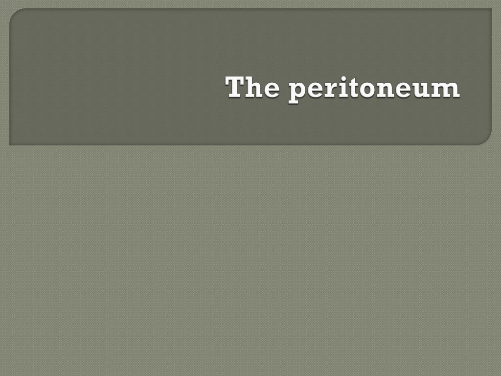 the peritoneum