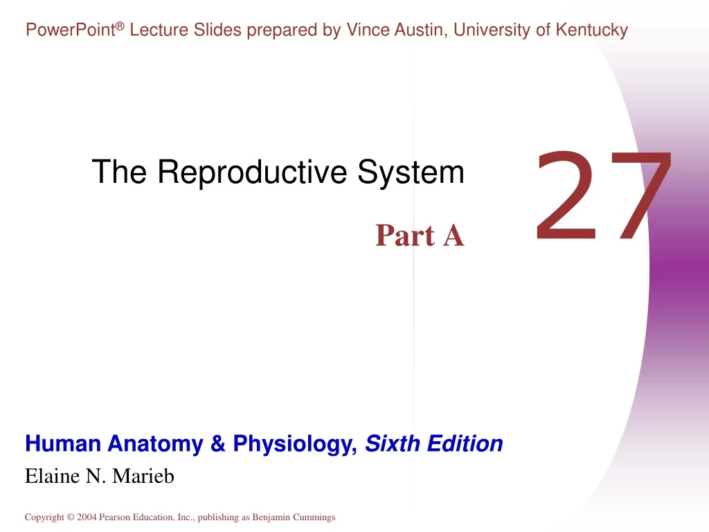 the reproductive system part a