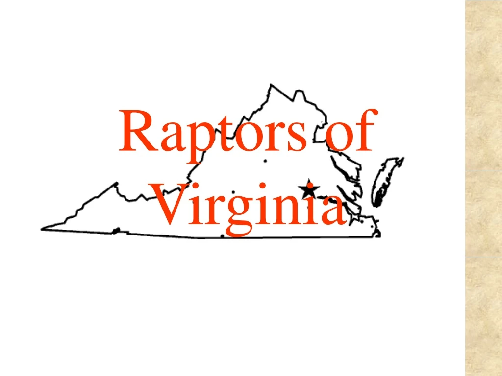 raptors of virginia