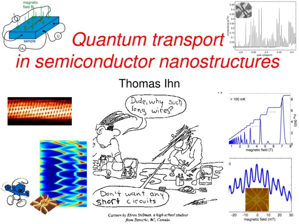 Quantum transport  in semiconductor nanostructures