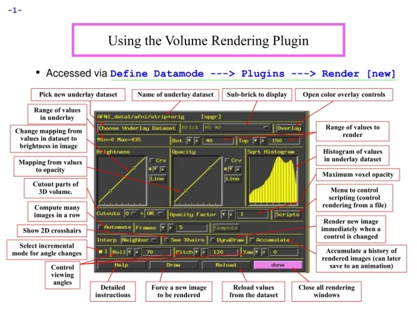 Using the Volume Rendering Plugin