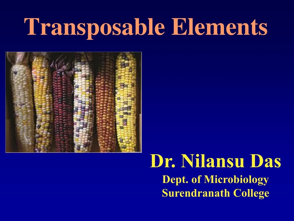 transposable elements