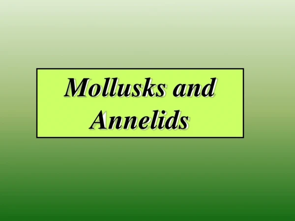 Mollusks and Annelids
