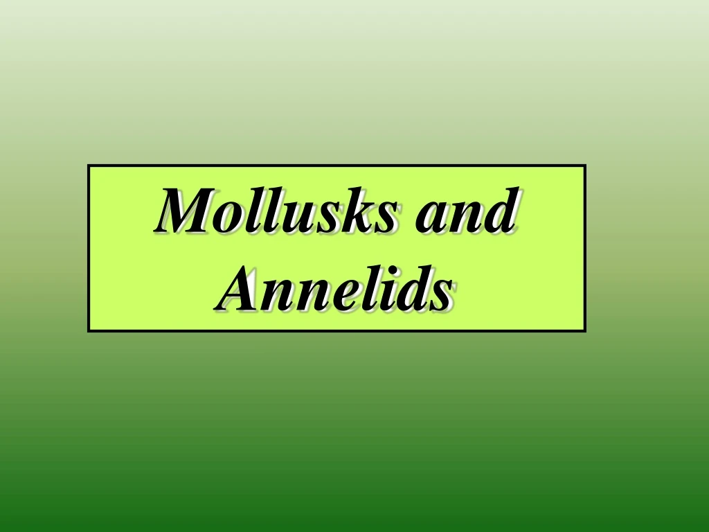 mollusks and annelids