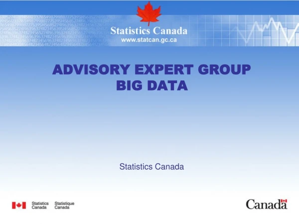 Advisory Expert Group Big Data