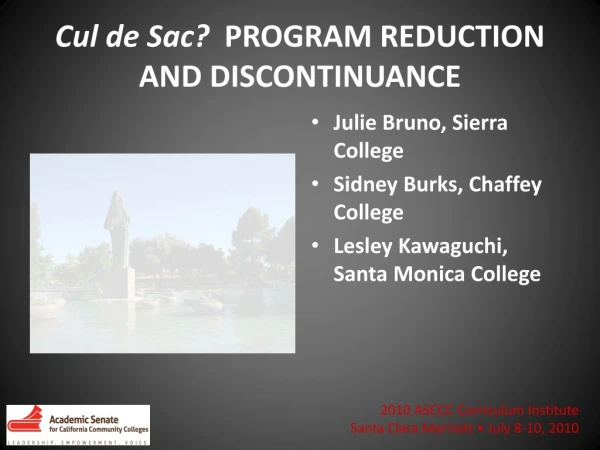 Cul de Sac?   PROGRAM REDUCTION AND DISCONTINUANCE