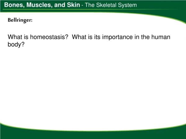 Bellringer: What is homeostasis?  What is its importance in the human body?