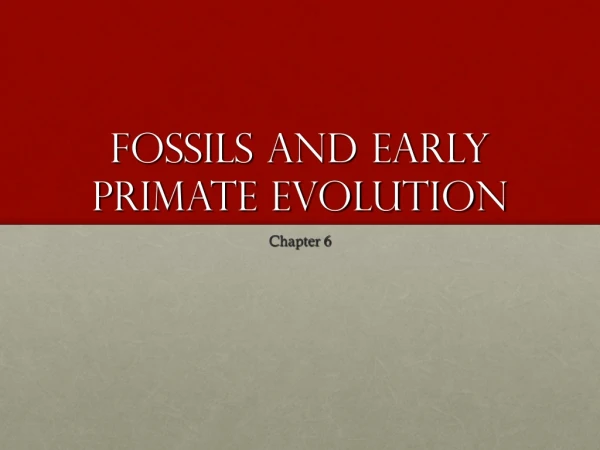 Fossils and early primate evolution