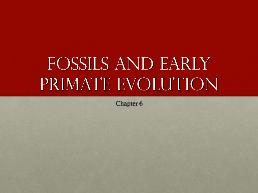 fossils and early primate evolution