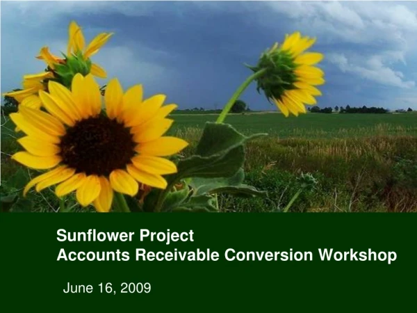 Sunflower Project  Accounts Receivable Conversion Workshop