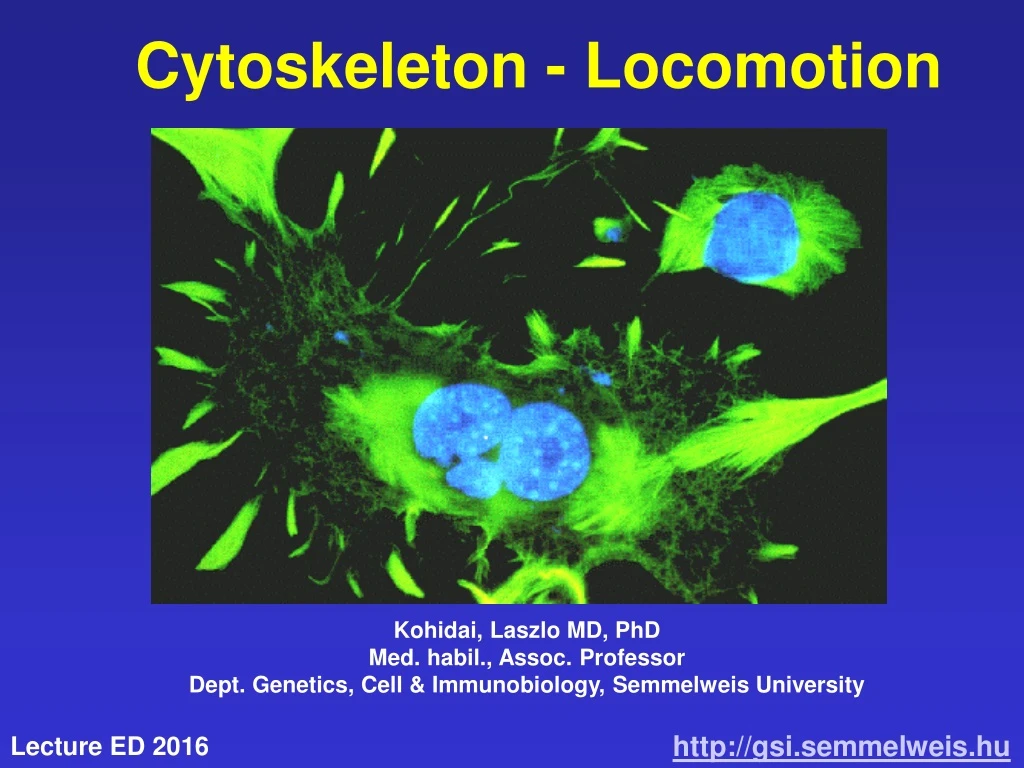 cytoskeleton locomotion