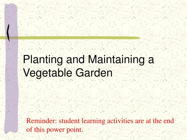 Planting and Maintaining a Vegetable Garden