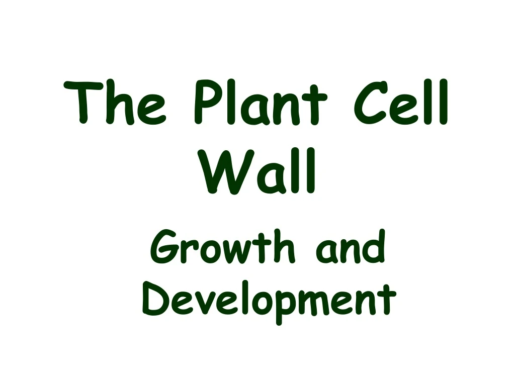 the plant cell wall