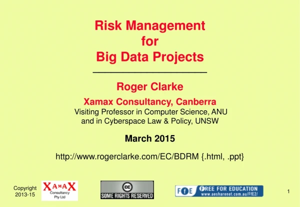 Risk Management for  Big Data Projects