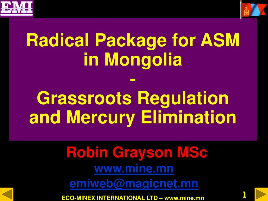 radical package for asm in mongolia grassroots regulation and mercury elimination