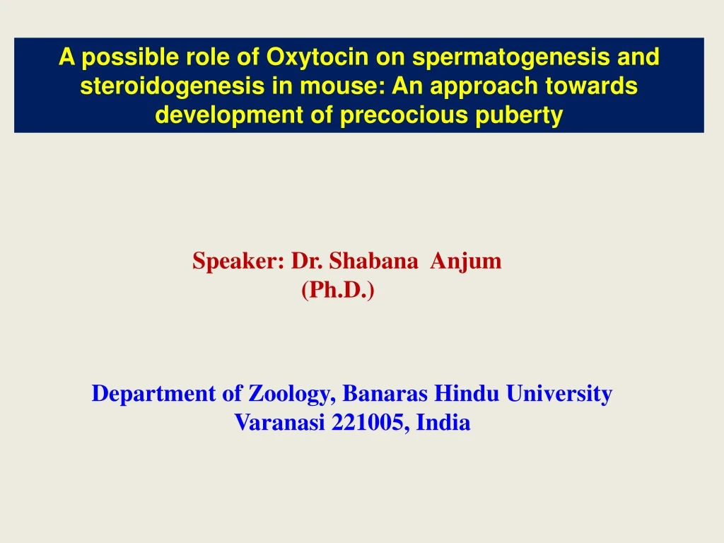 a possible role of oxytocin on spermatogenesis