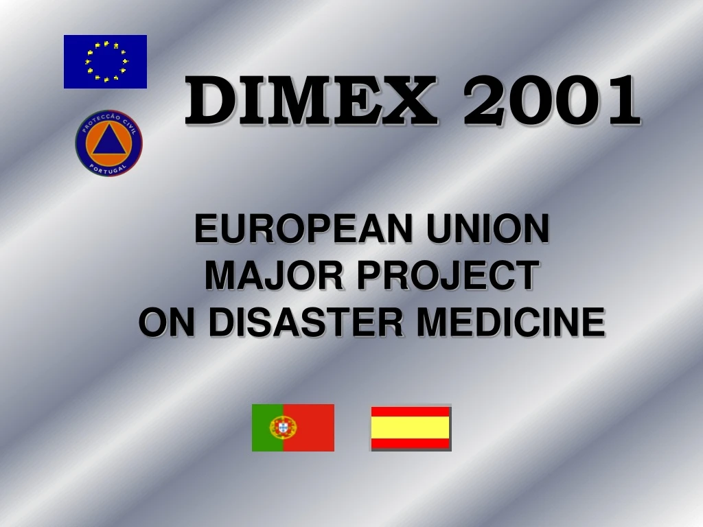 dimex 2001