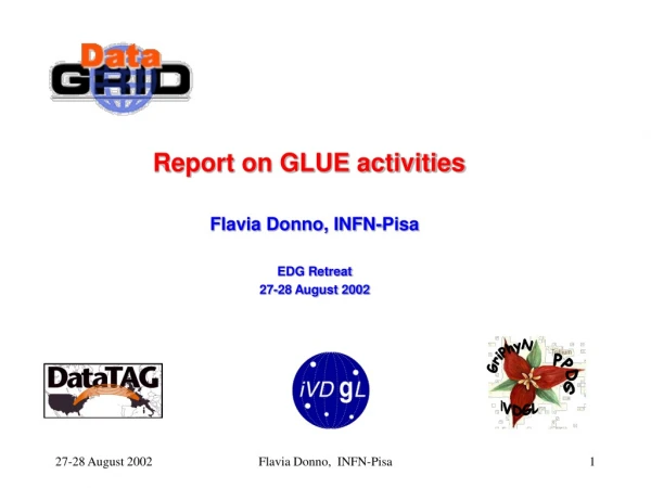 Report on GLUE activities