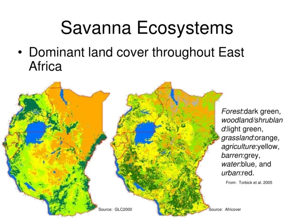 Savanna Ecosystems