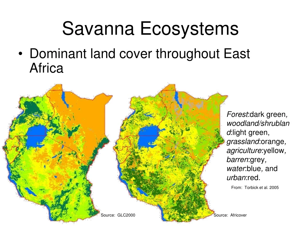 savanna ecosystems