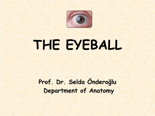 THE EYEBALL