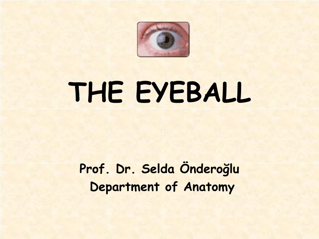 the eyeball