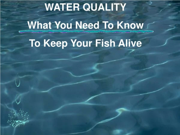 WATER QUALITY What You Need To Know  To Keep Your Fish Alive