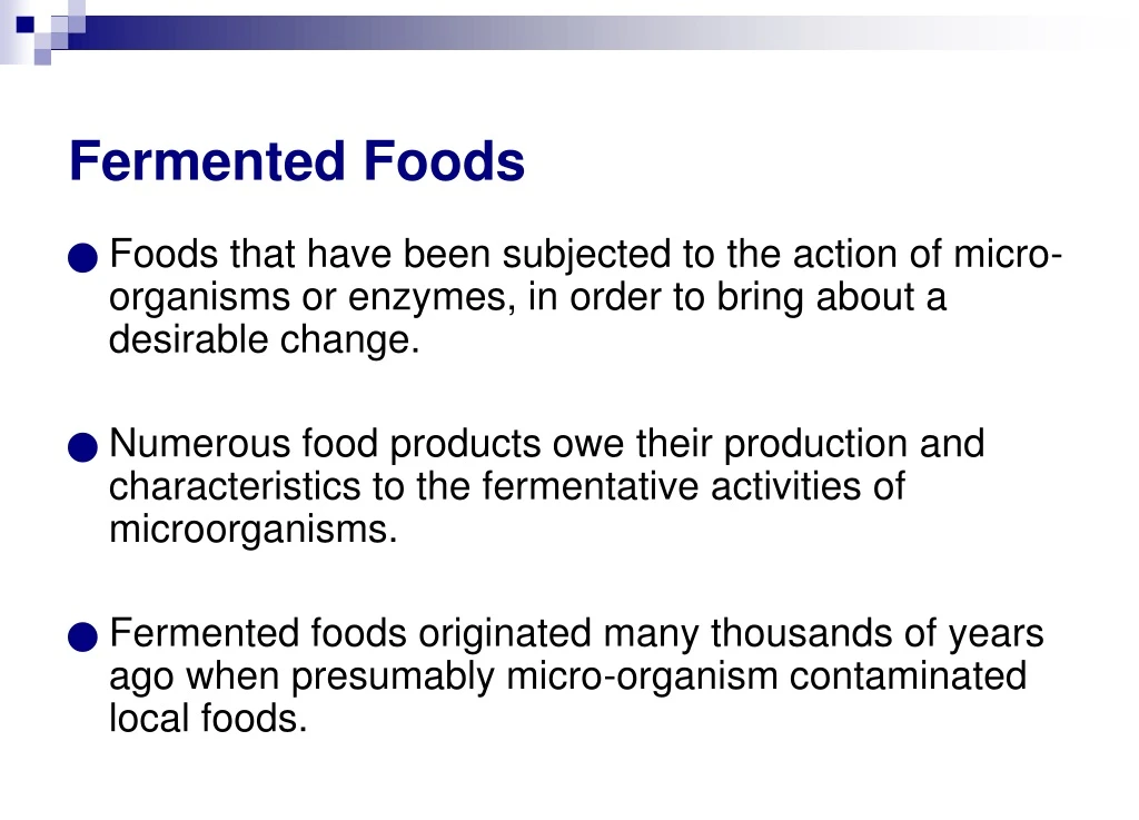 fermented foods